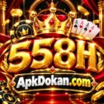 558H